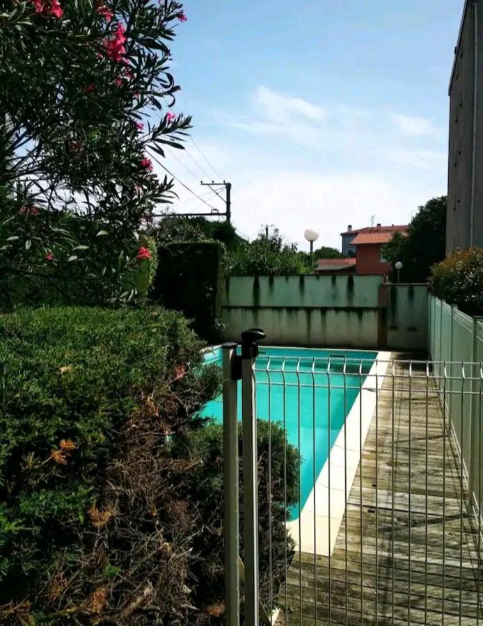 Bel Appartement Proche Du Canal Du Midi Toulouse Exterior foto